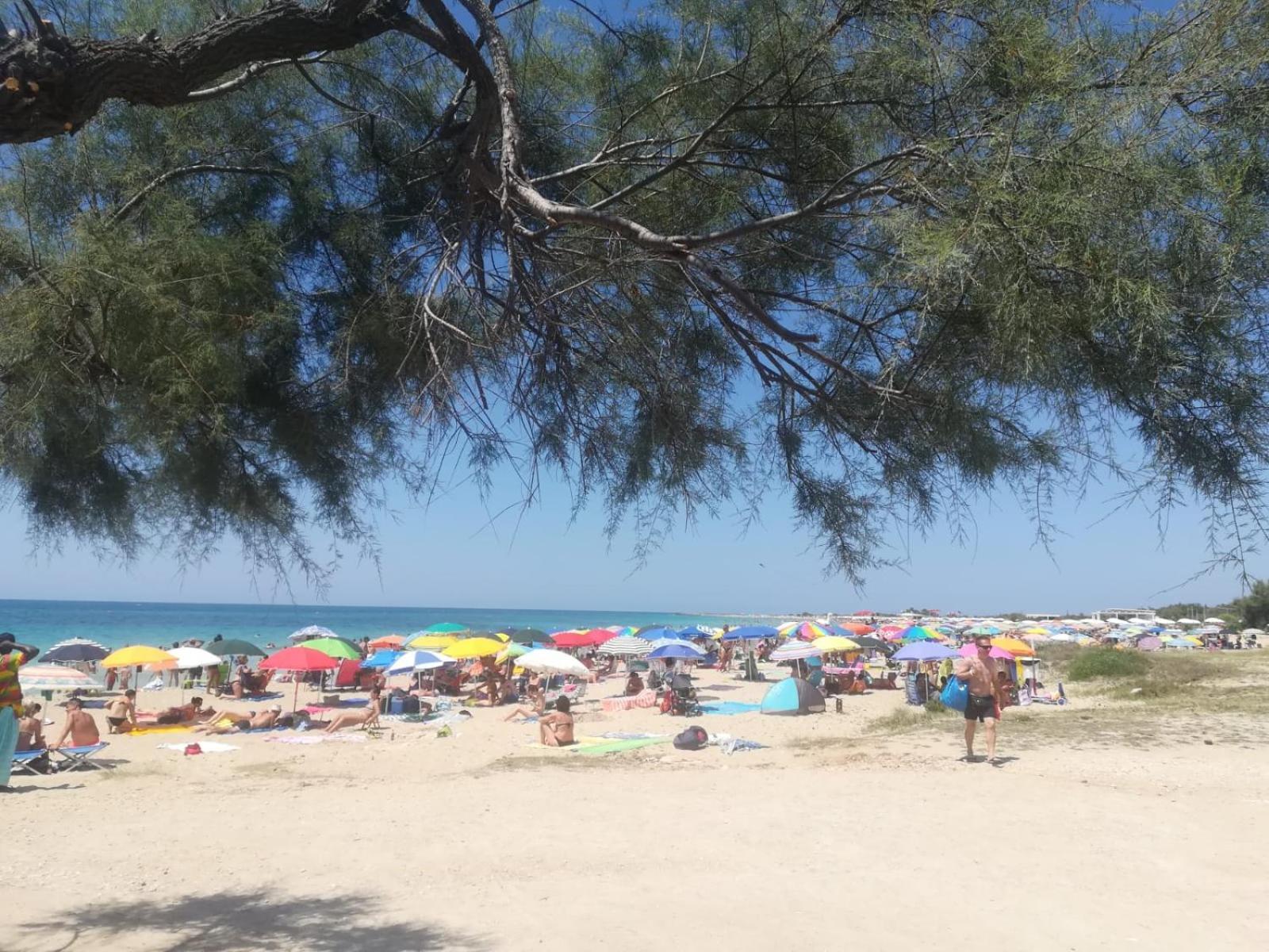 Casa Al Mare Le Dune ลิโด มารีนี ภายนอก รูปภาพ